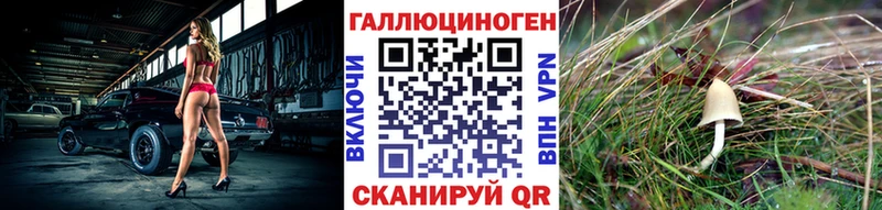 где можно купить   Мариинский Посад  Псилоцибиновые грибы мухоморы 